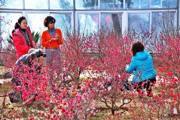 探访暖春花开地新址，自然人文之美交相辉映的秘境