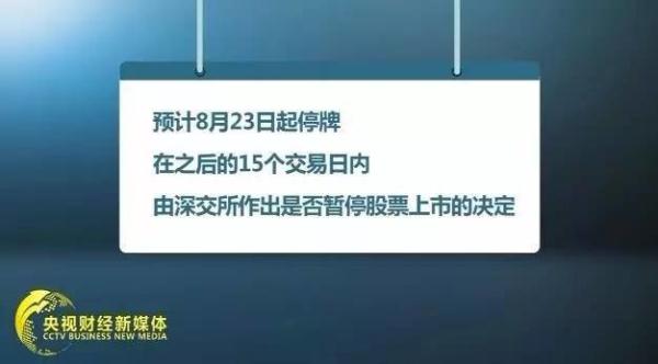 任向敏最新持股全景解析，深度探究与全面解读