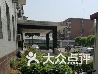 天津科润黄瓜新品种，创新与品质的双重飞跃