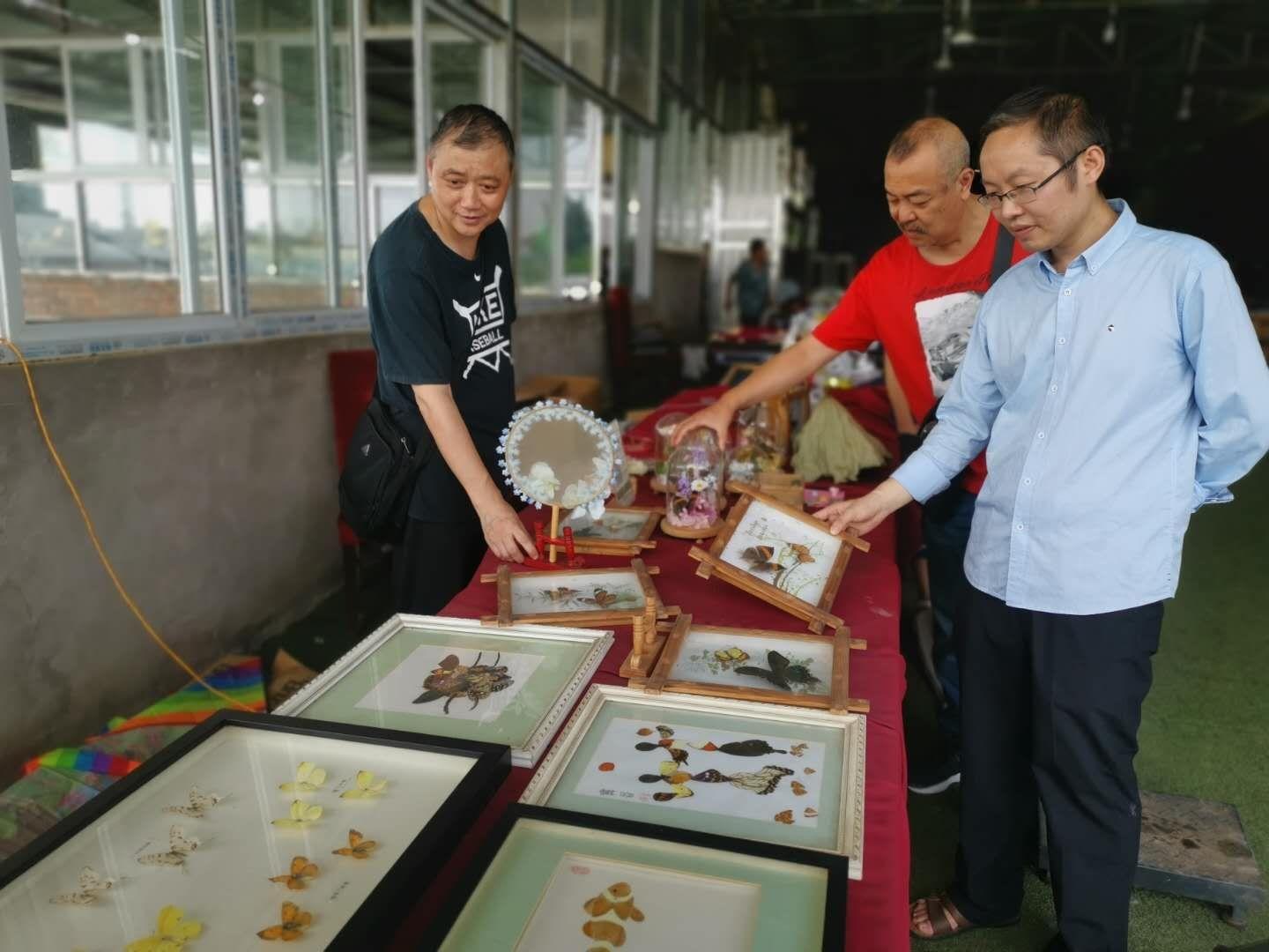 龙马潭区文化广电体育和旅游局领导团队全新亮相，未来展望与期待