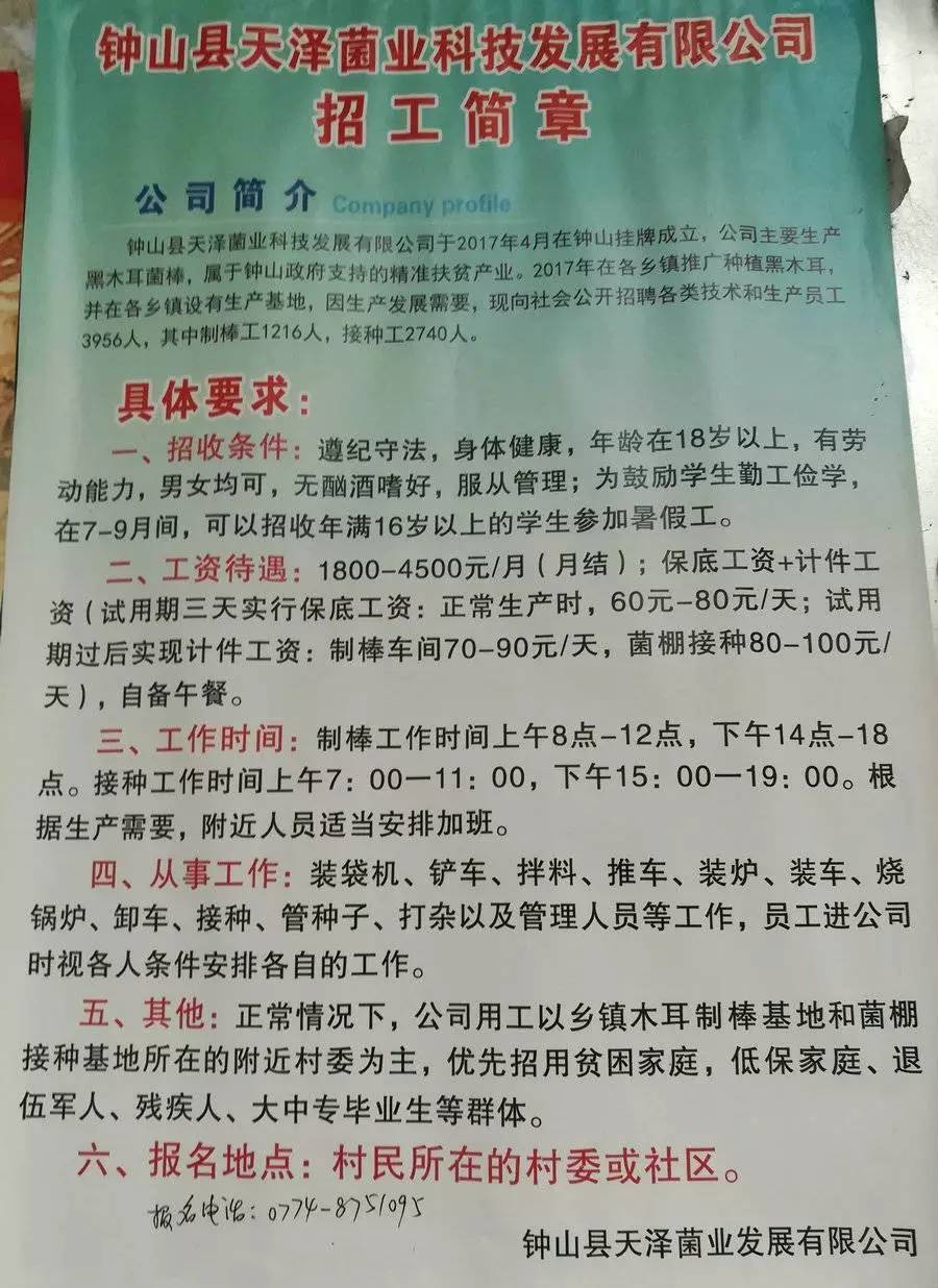 山关村委会最新招聘信息全面解析