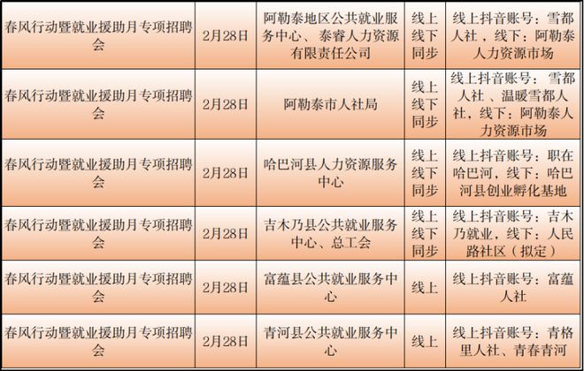 塔城市数据与政务服务局招聘公告详解