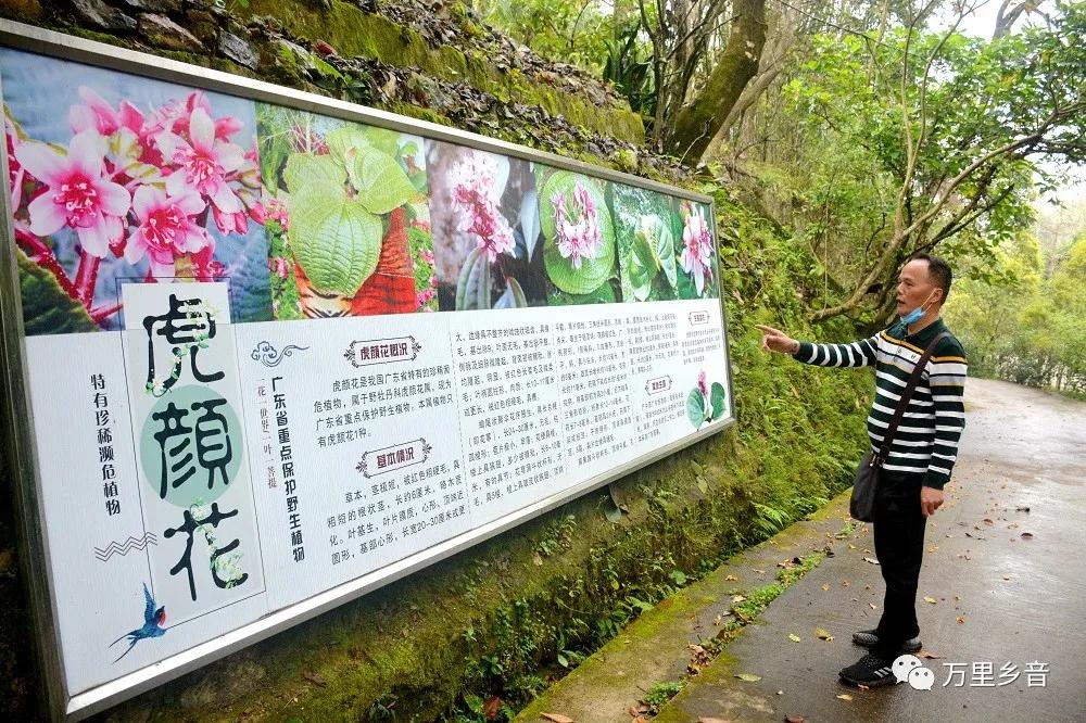 花滩林场最新招聘信息概览