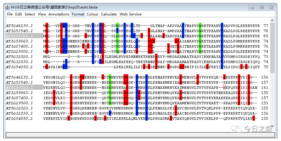 555525oom王中王,精细设计解析策略_XT60.841