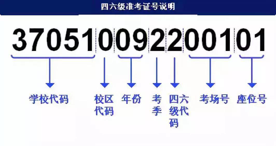 4949免费资料大全资中奖,深度策略数据应用_豪华版98.755