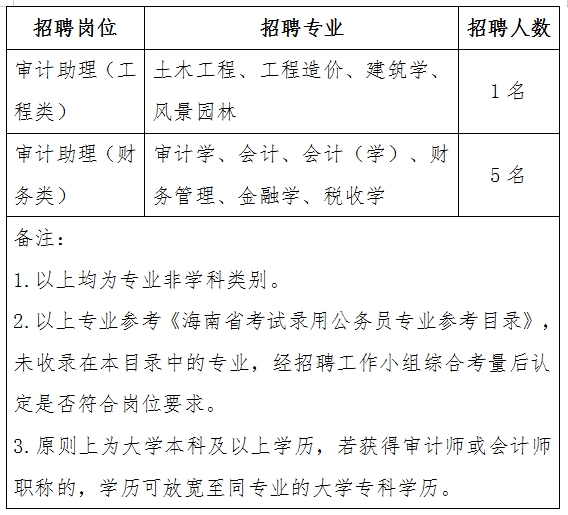 九龙坡区审计局最新招聘详解