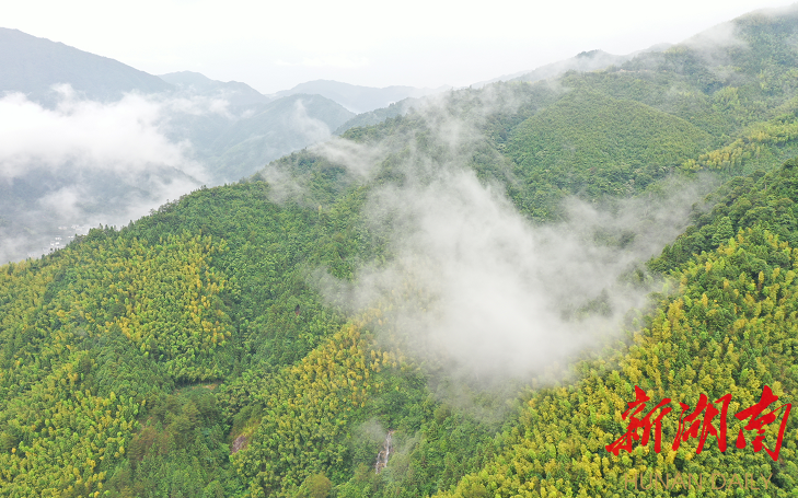 炎陵县桃源洞管理局天气预报更新通知