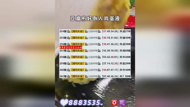 2024新澳开奖结果,实践策略设计_tShop95.870