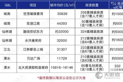 南京市玄武区政府办公室副主任是谁,深层数据计划实施_set27.547