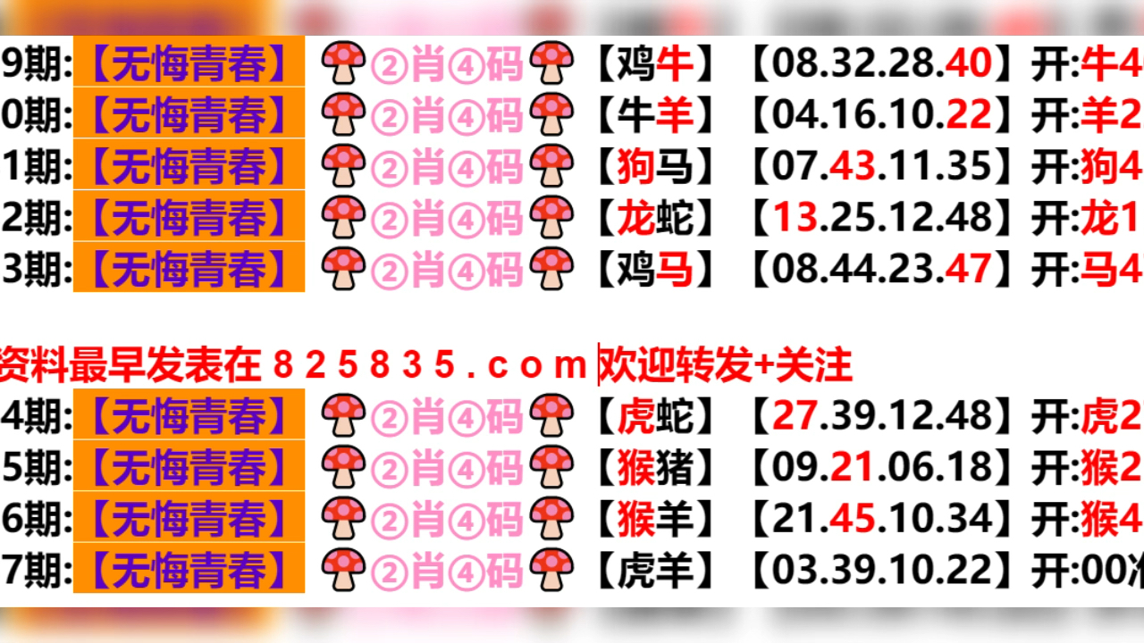 2024年新奥门天天开彩,全面计划解析_超级版19.680