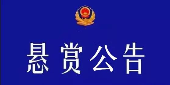 德城区公安局人事任命揭晓，开启警务新篇章