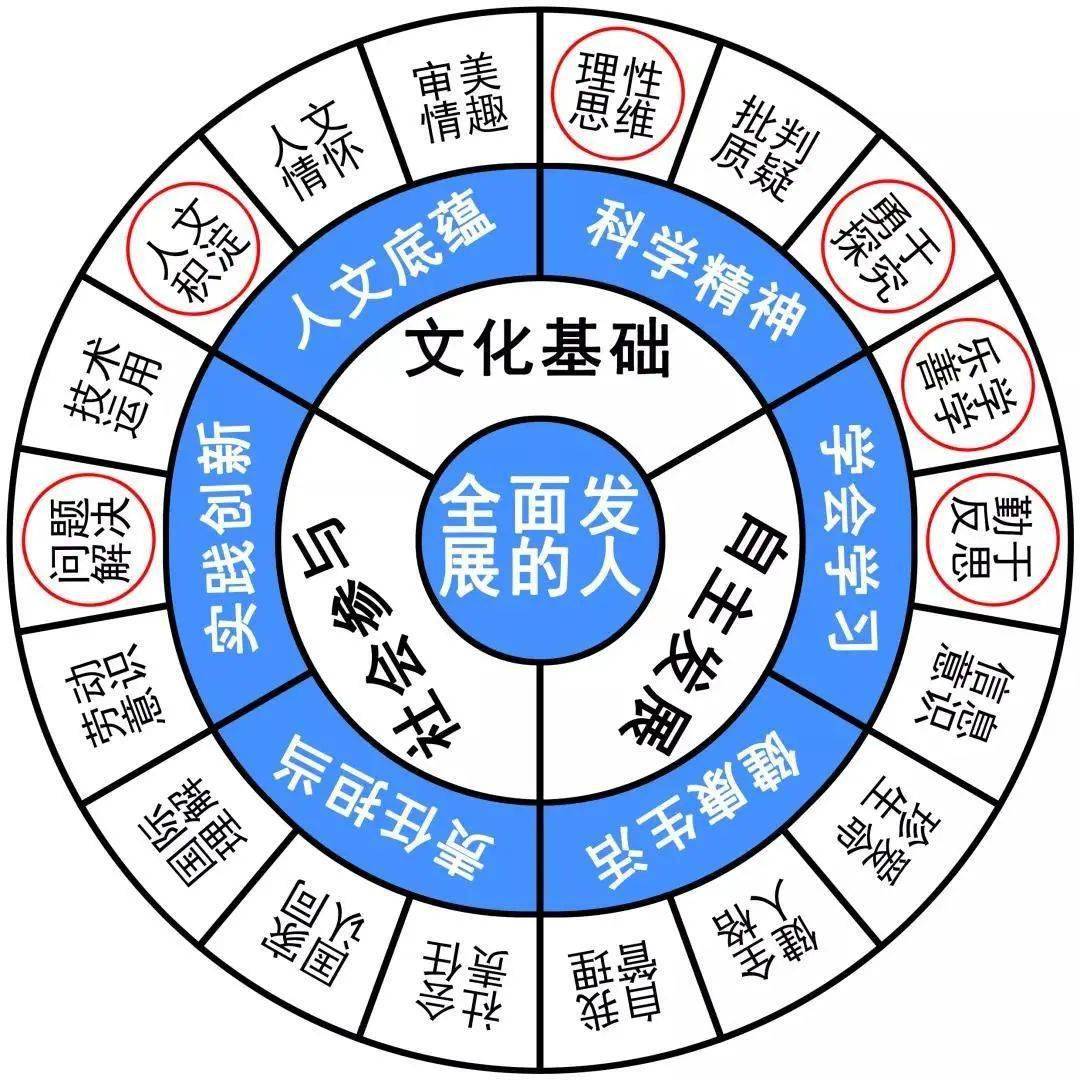 494949今晚最快开奖2023,科学解答解释落实_Z72.228