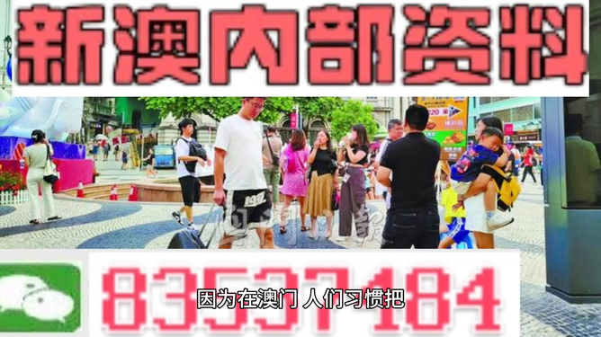 2024澳门精准正版资料免费全,持续执行策略_XE版14.613