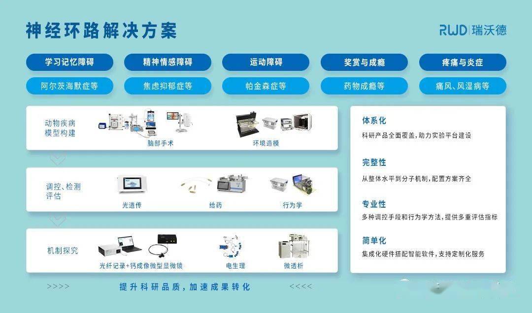 新奥管家婆资料2024年85期,实证解读说明_Surface84.941