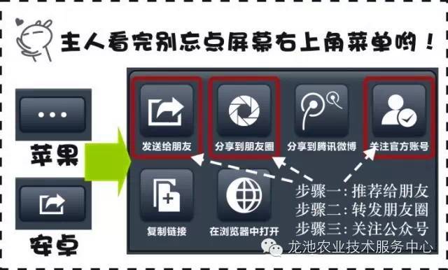 新奥精准免费资料提供,专业评估解析_V257.719