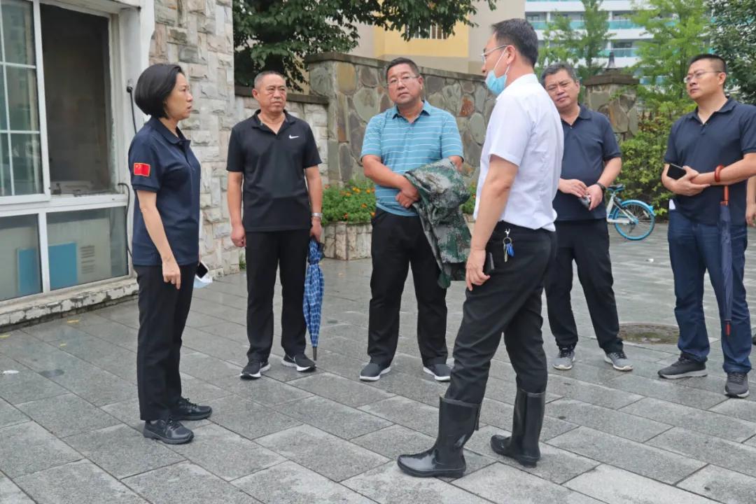 金矿街道最新项目，重塑城市未来