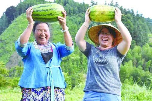 木耳村委会新项目启动，振兴乡村经济，提升村民生活质量行动