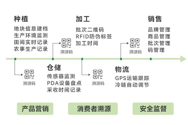 2024澳门特马今晚开奖113期,理论解答解释定义_AP86.546