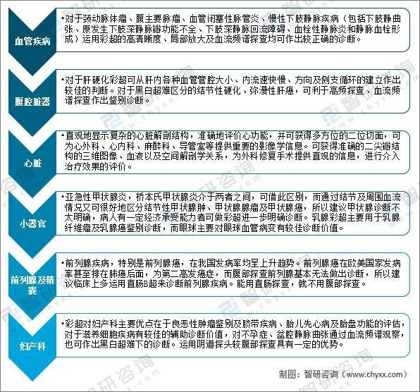 全年资料免费大全,国产化作答解释落实_GT96.185