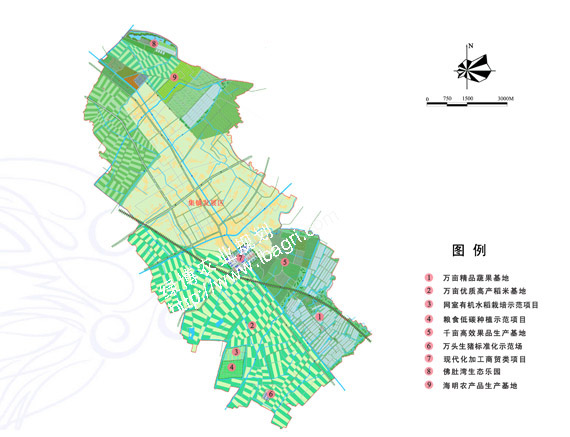 梅陇农场现代化发展规划，打造农业新标杆