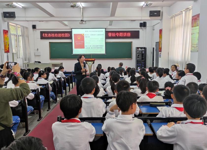 和平街道重塑城市面貌，推动社区发展新项目启动