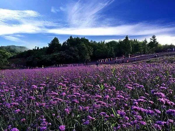 湖北省巴东县未来繁荣新蓝图发展规划揭秘