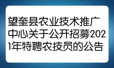 望奎县科技局最新招聘信息与职业机会深度解析