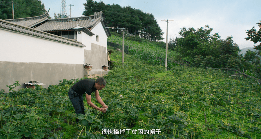 雨梦迟歌