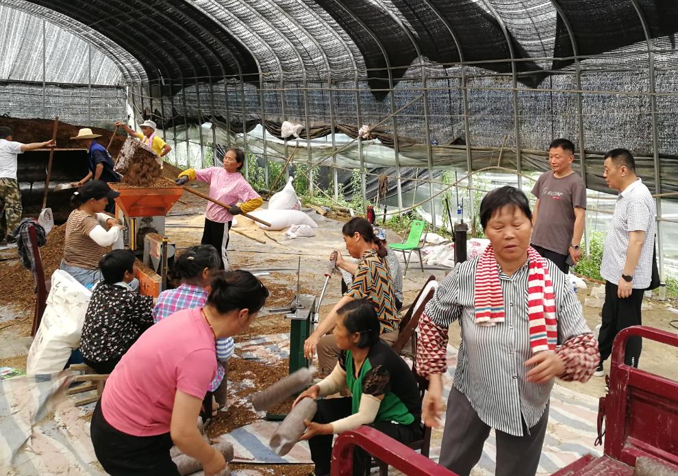 年扎村新项目启动，乡村振兴新篇章开启