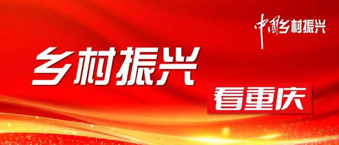 长寿区农业农村局领导团队引领农业农村发展开启新篇章