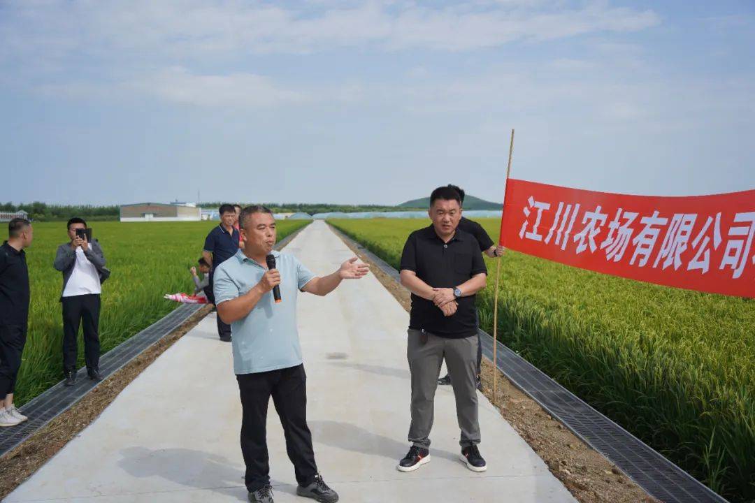 江川农场交通升级带动区域繁荣，最新交通新闻揭秘发展动态