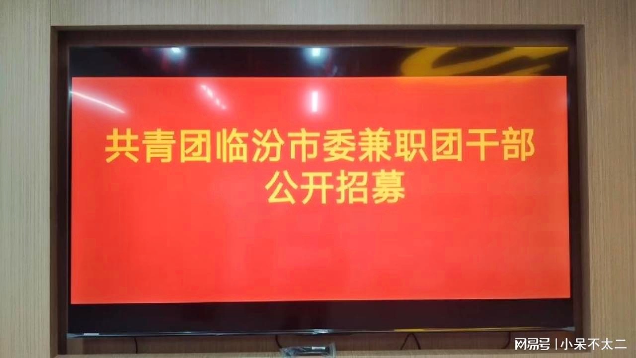 黄石市共青团市委最新招聘概览