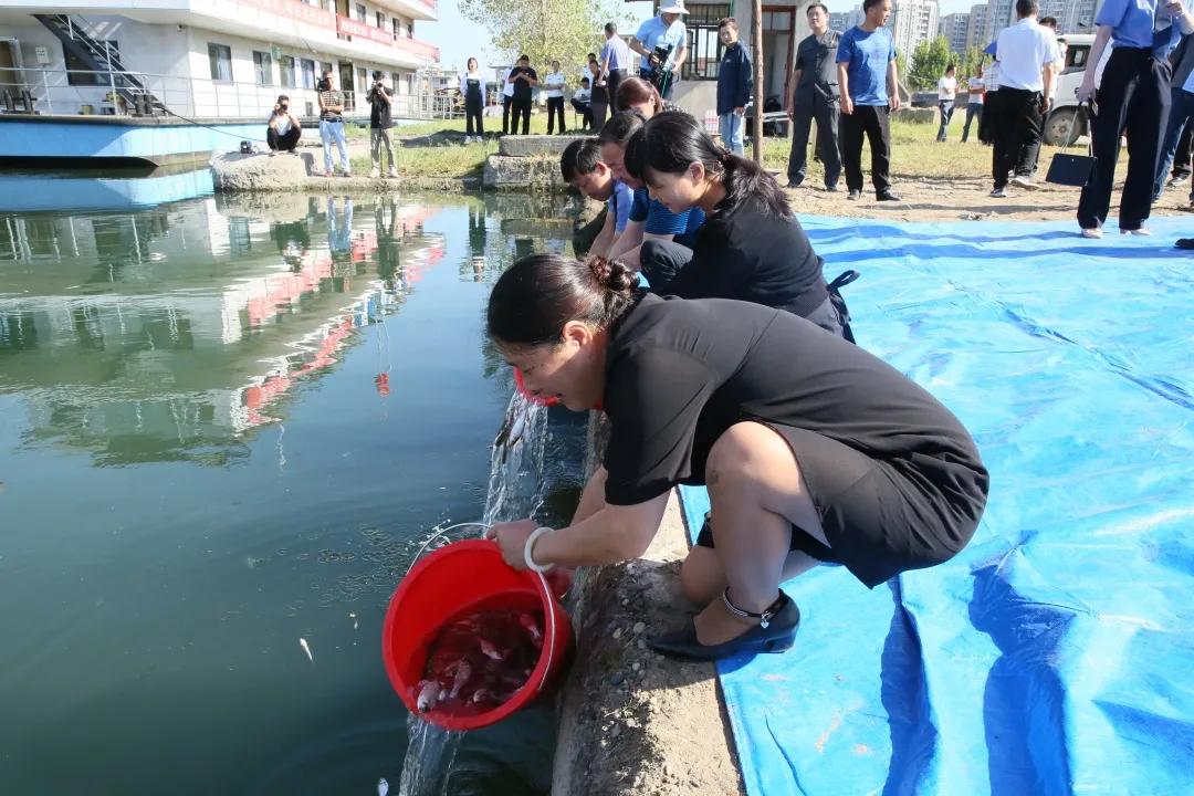 老河口市计划生育委员会最新发展规划深度解读