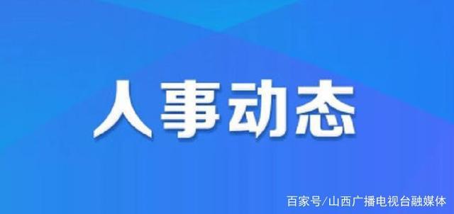 小港街道人事任命最新动态